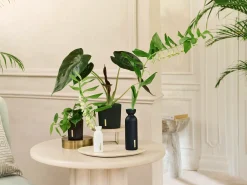 Rituals Fragrance Sticks Hot