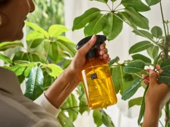 Rituals Home Perfume New
