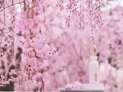 Rituals Mini Fragrance Sticks Best