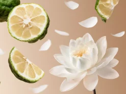 Rituals Travel - Eau De Parfum Soleil d'Or Shop