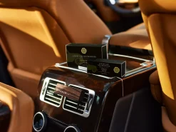 Rituals Wild Fig Car Air Freshener Refill Online